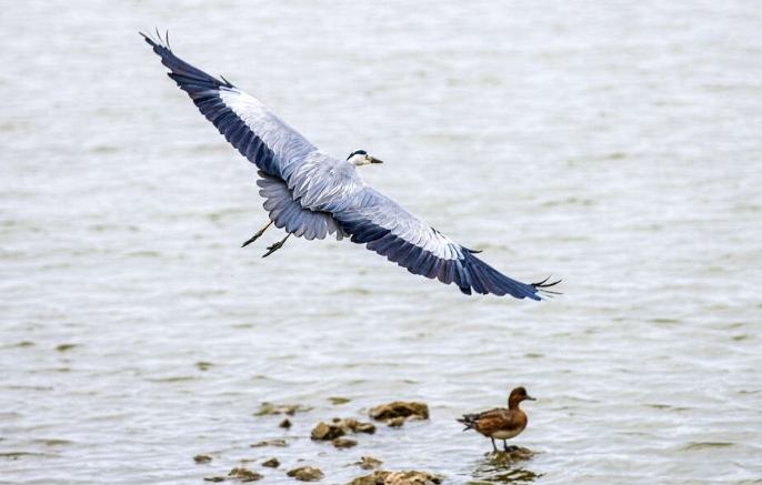 金門自由行 金門自由行
