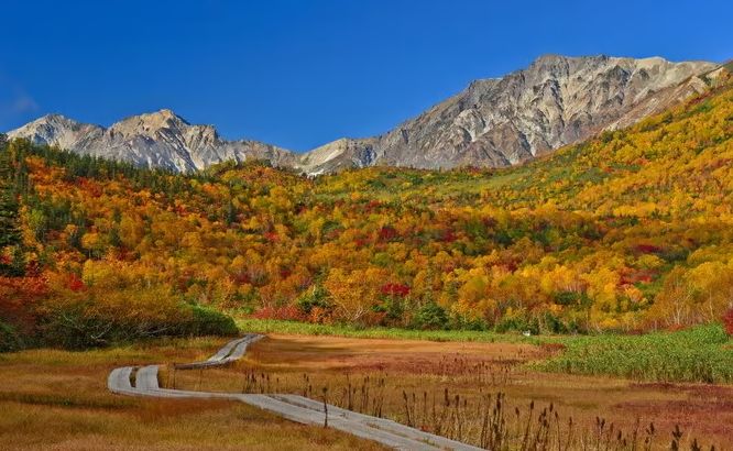 立山黑部紅葉季節