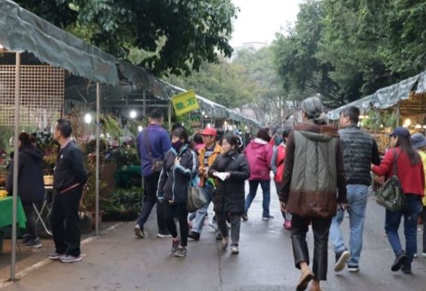 假日花市停車建議