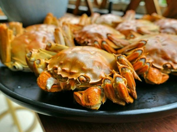 螃蟹清蒸做法 螃蟹清蒸做法