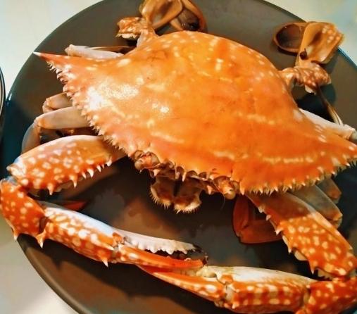螃蟹蒸煮技巧