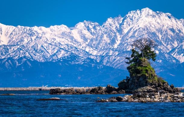 富山縣自由行 富山縣自由行