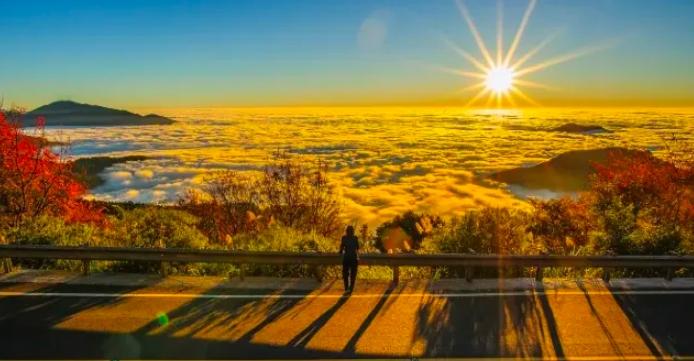 阿里山交通攻略