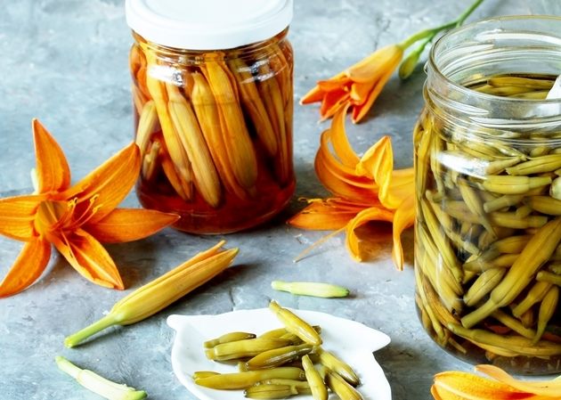 金針花冷藏方法