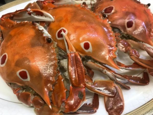 冷凍海鮮解凍方法 冷凍海鮮解凍方法