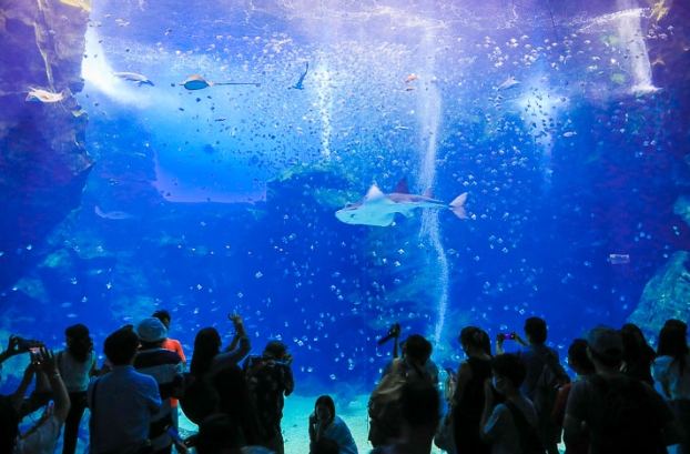 机场附近景点推荐