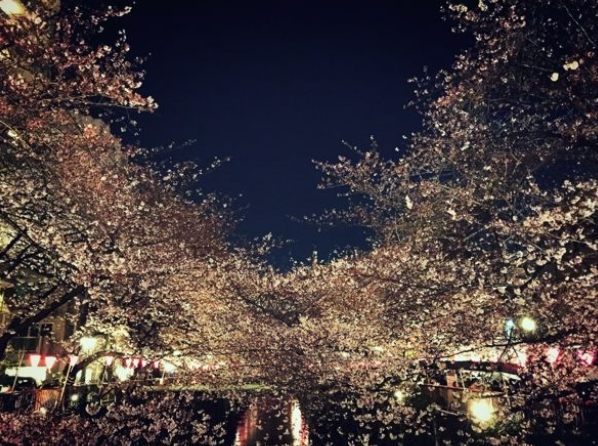 日本10天行程規劃