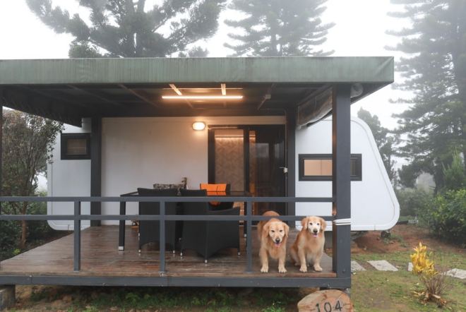 桃園露營車推薦寵物 桃園露營車推薦寵物