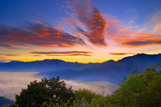 阿里山住宿選擇