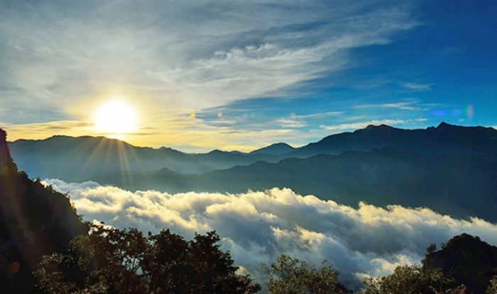 阿里山交通攻略