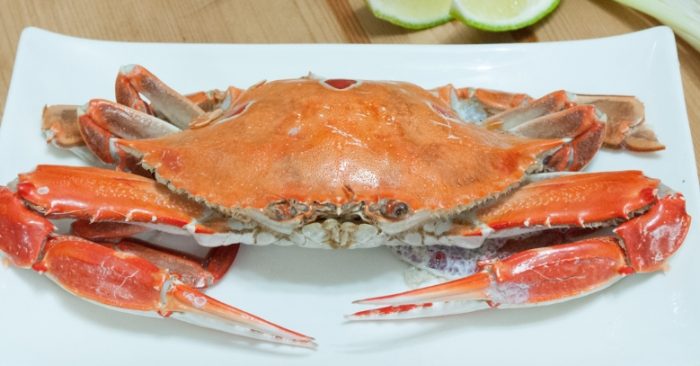 三點蟹食譜 三點蟹食譜