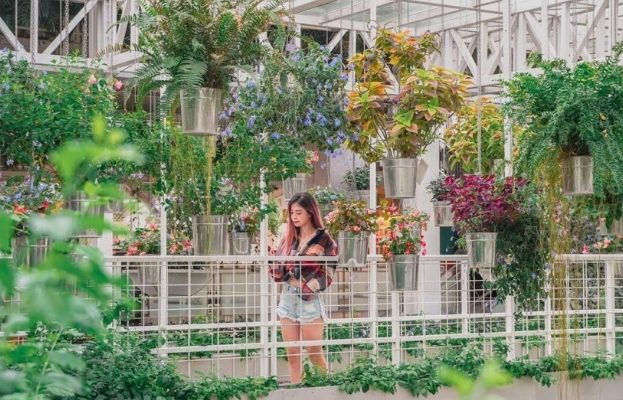 宜蘭情侶室內活動