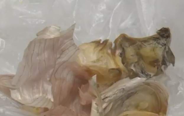 蒜頭發霉處理 蒜頭發霉處理