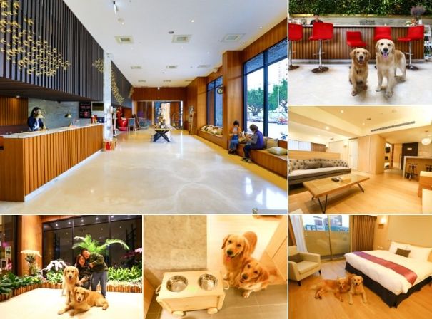 帶寵物住宿注意事項