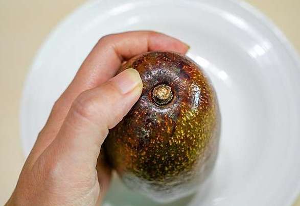 酪梨選購方法
