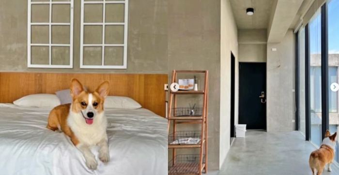 寵物友善飯店台中