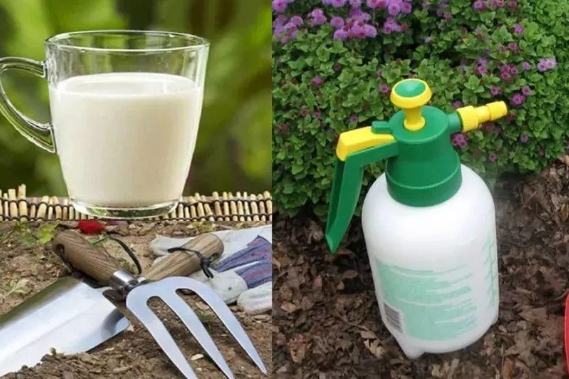 鮮奶保存方法 鮮奶保存方法