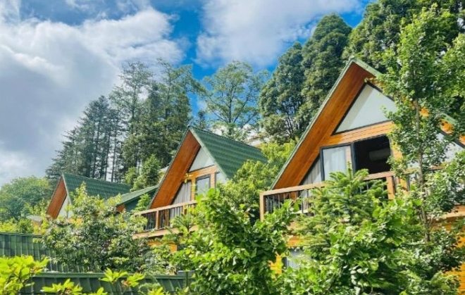 螢火蟲季節住宿