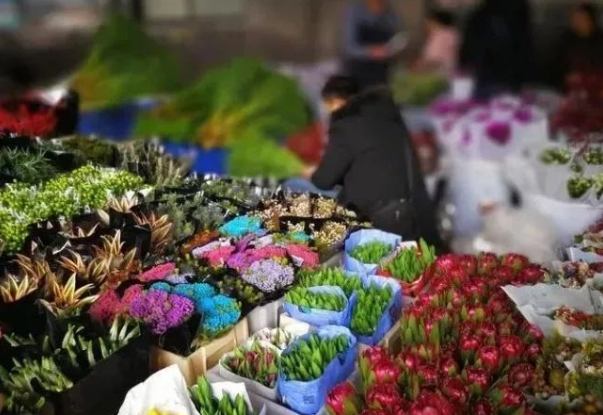 斗南花市幾點開