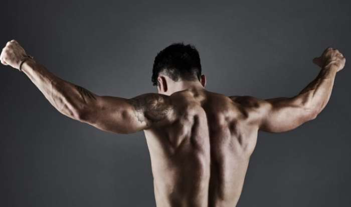 背部肌肉鍛鍊