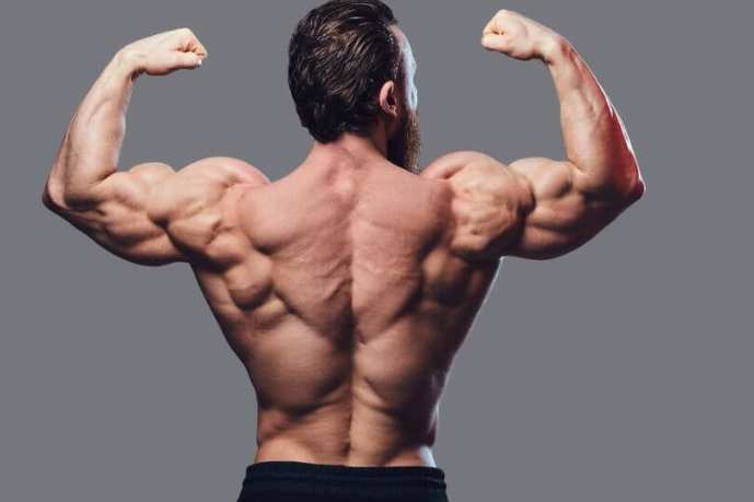 背部肌肉鍛鍊