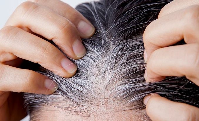 白頭髮吃黑芝麻