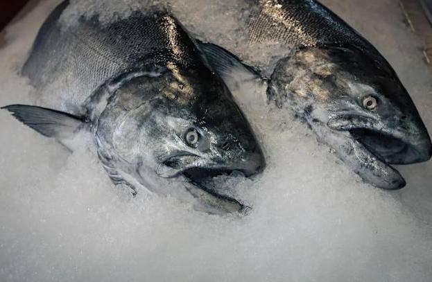 魚退冰方法 魚退冰方法