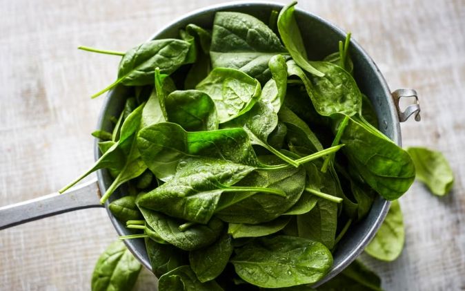 高纖維蔬菜降膽固醇 高纖維蔬菜降膽固醇