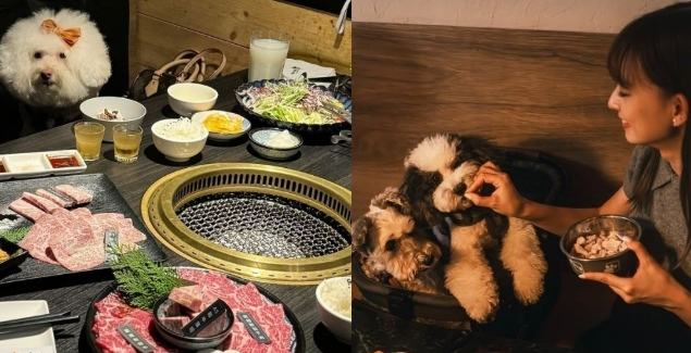 逢甲夜市寵物友善美食