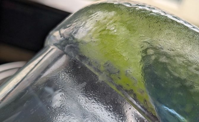 水放久綠色原因 水放久綠色原因