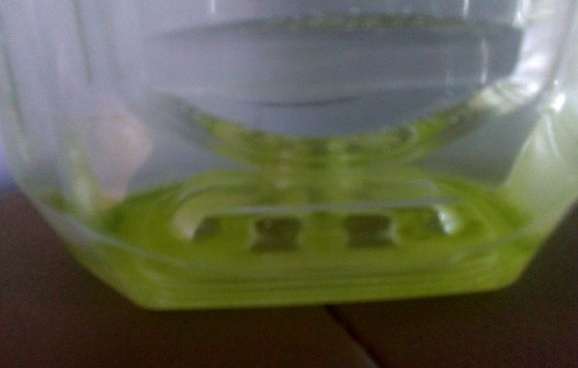 預防水變綠 預防水變綠