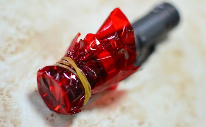 螢火蟲觀賞指南 螢火蟲觀賞指南