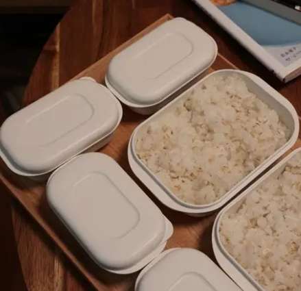 白飯保存盒推薦 白飯保存盒推薦