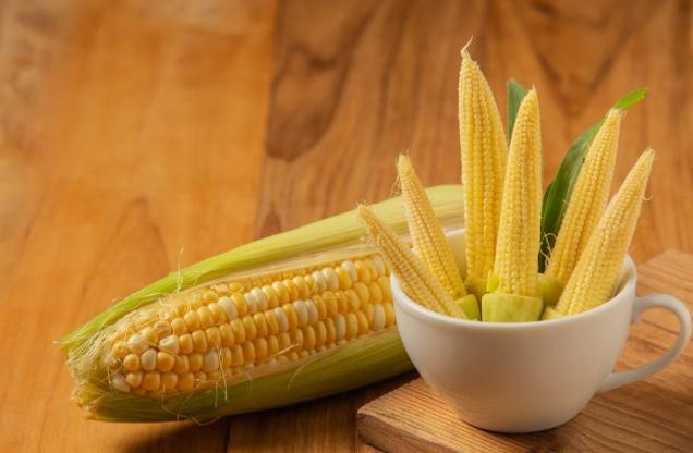 玉米筍冷藏技巧