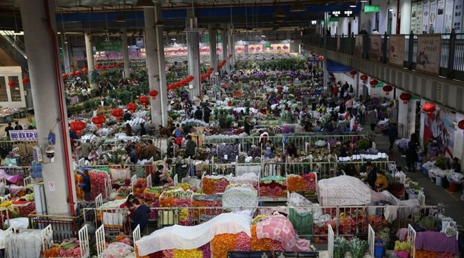 斗南花卉市場開放時間