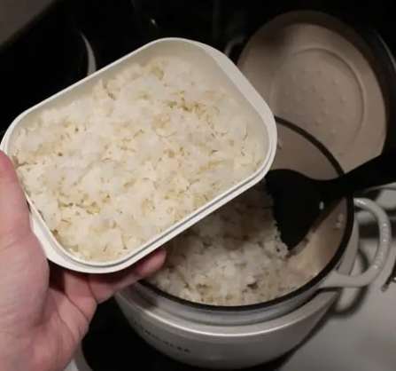 白飯保存盒使用方法 白飯保存盒使用方法