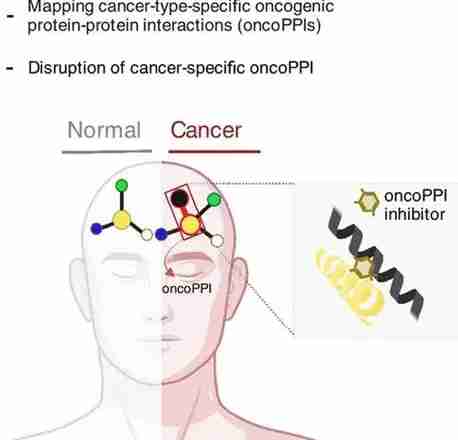高溫烹飪致癌物質