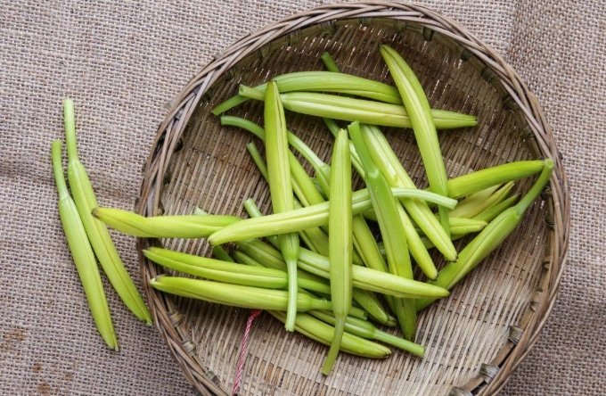 黃花菜營養 黃花菜營養