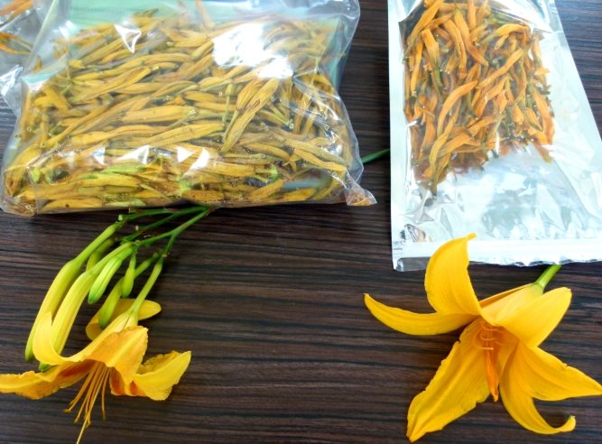 金針花食用安全