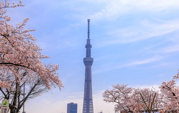 自由行日本城市選擇