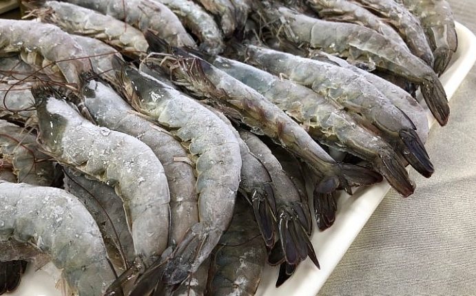 冷凍蝦購買指南