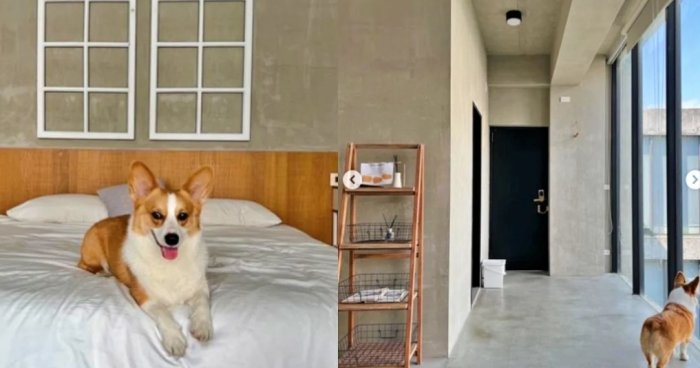 台中寵物友善酒店