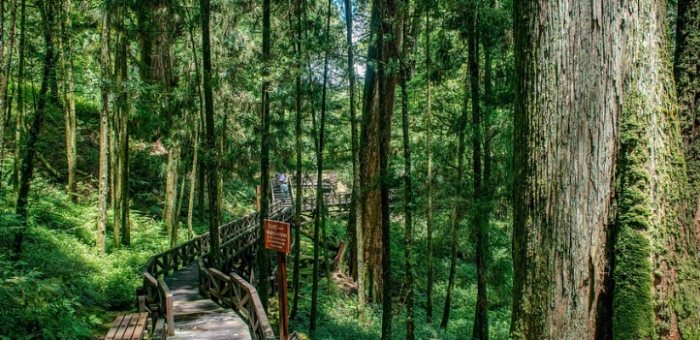 嘉義旅遊攻略 嘉義旅遊攻略