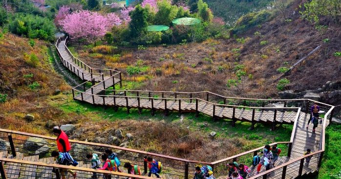 嘉義年輕人打卡景點 嘉義年輕人打卡景點