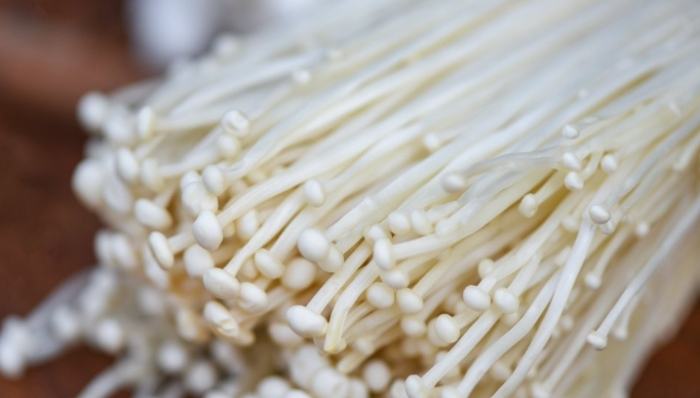 金針不適合人群