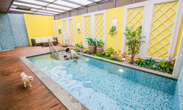 寵物友善住宿台中