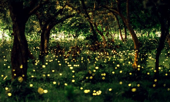 高雄那瑪夏旅遊