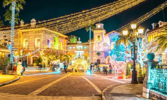 和歌山室內活動 和歌山室內活動