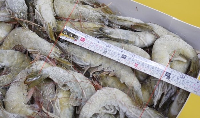冷凍蝦怎麼挑最新