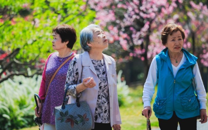 嘉義無障礙景點